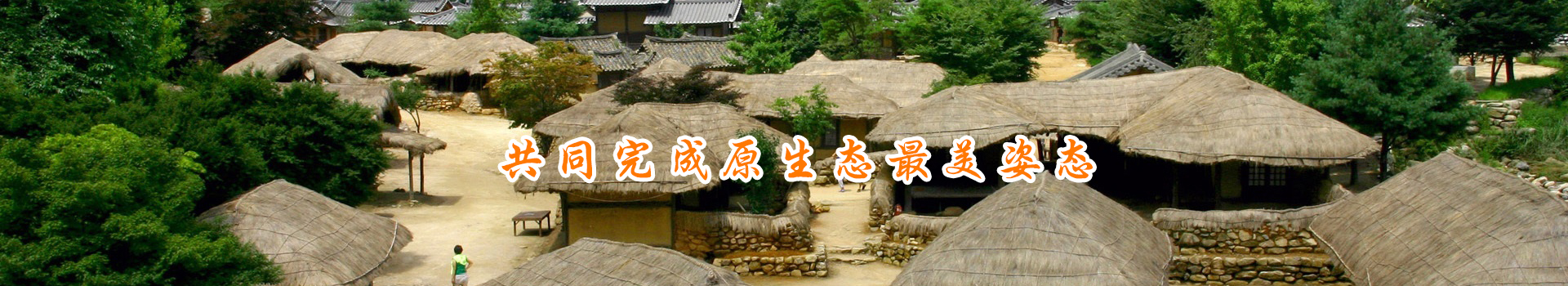 nybanner